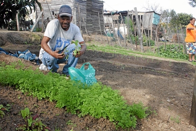 Mandela Day project boosts vegetable gardens